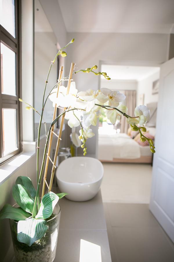 Christofphs Bed & Breakfast Bonnievale Luaran gambar
